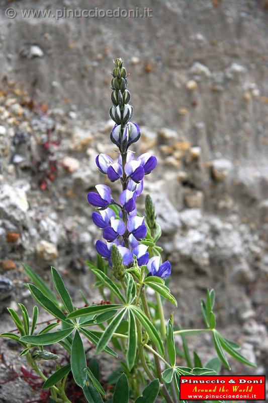 ECUADOR - Laguna di Quilotoa - 09.jpg